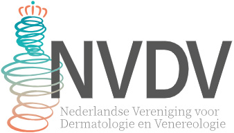 Logo NVDV