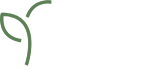 Logo Fysiek Zeeland
